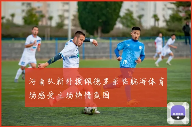河南队新外援佩德罗亲临航海体育场感受主场热情氛围